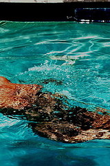 Genesis Getting wet and wild in the pool 10
