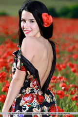 Lola Marron 06