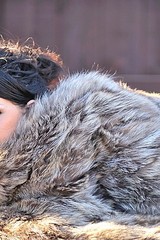 Devaun gets naked in a public place 02