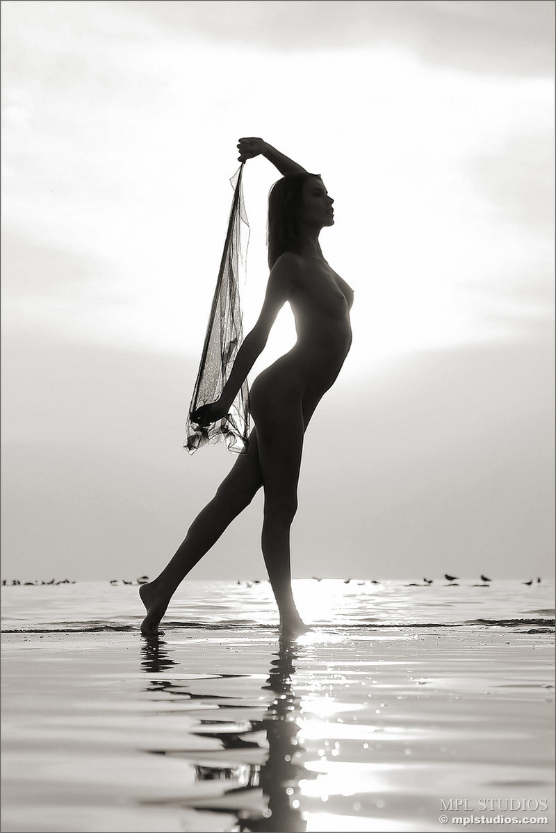 MPL Studios Black And White 04