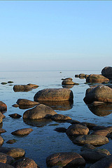 Renata Stepping Stones 09