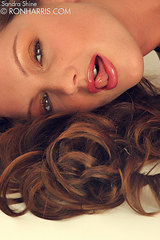 Sandra Shine 14
